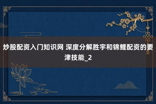 炒股配资入门知识网 深度分解胜宇和锦鲤配资的要津技能_2
